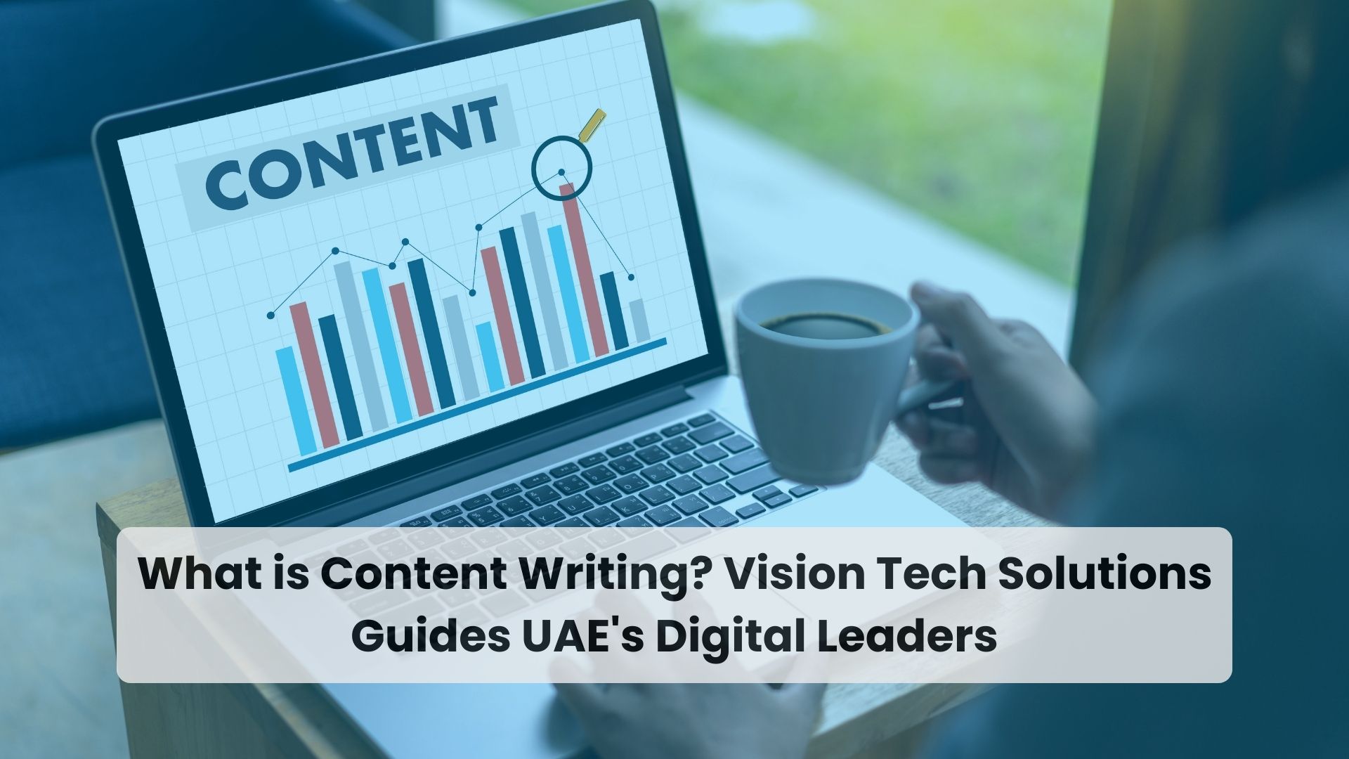 Vision Tech Solutions 1